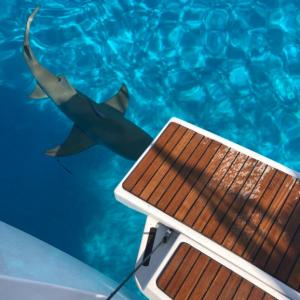 Sail Lake Macquarie Charter Photo Gallery World Travel
